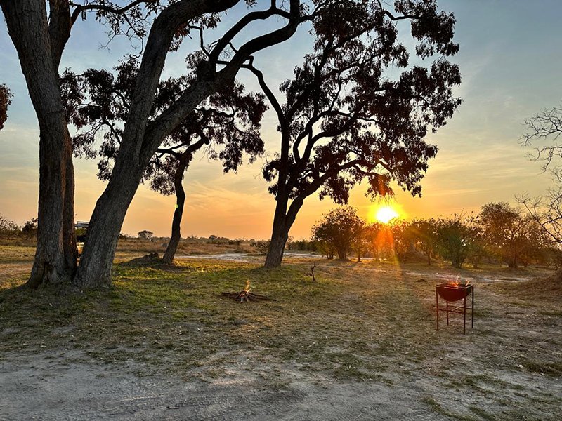 Sunset dinner under leadwood trees on the Khwai floodplain